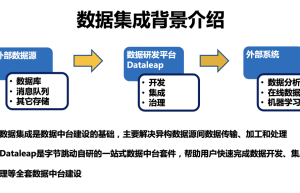字节跳动内部数据集成背景
