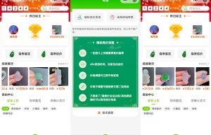 竞拍寄售模式小程序开发技术功能架构分析  缩略图