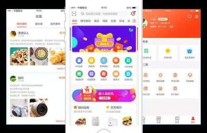 淘客系统APP技术开发案例功能分析缩略图