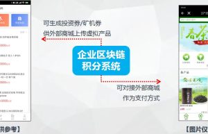 区块链通证系统小程序开发架构分析缩略图