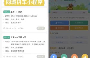 拼车系统小程序核心功能开发实例分享缩略图