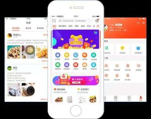 淘客系统APP技术开发案例功能分析插图