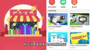 消费增值模式APP开发案例功能分析插图