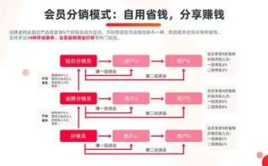 会员卡券分销模式小程序系统需求功能介绍插图